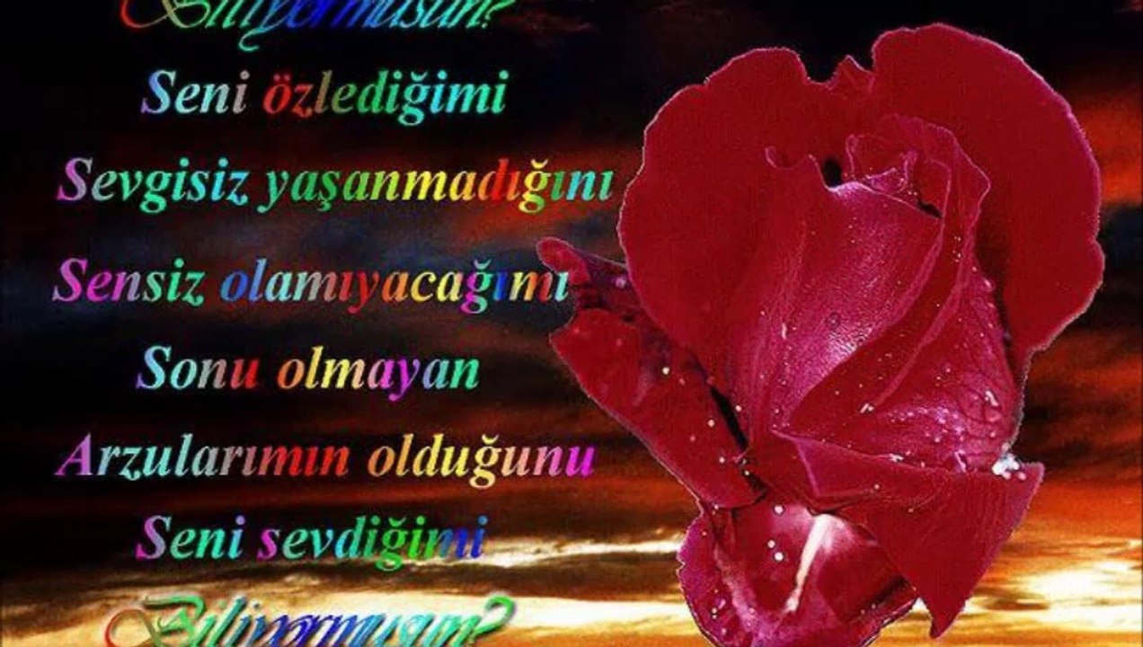 şiir