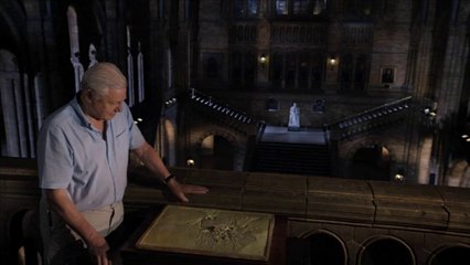 Natural History Museum Alive - Home Ent Trailer