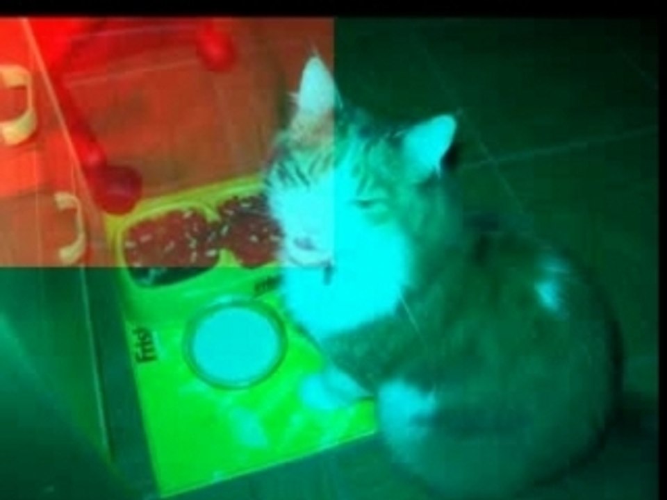 Nirrti et le pancake