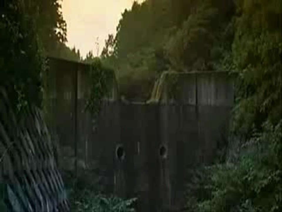 BATTLE ROYAL AMV