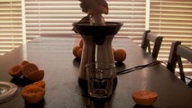 Epica Citrus Juicer - A well-built citrus juicer!