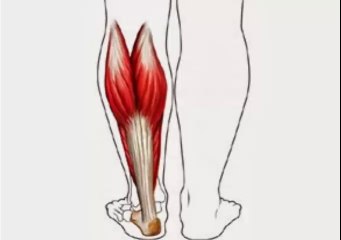 POR QUÉ SE PRODUCEN LOS CALAMBRES