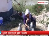 Tarım İşçilerinin Zor Yaşamı