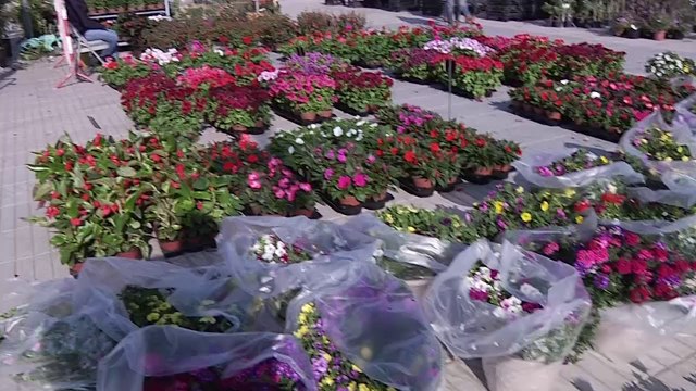 Succès des premières Floralies du Barcarès