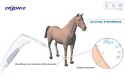 La cryothérapie pour le traitement de la douleur et de l'inflammation chez le Cheval