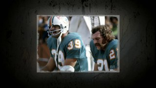 Free authentic Miami Dolphins Larry Csonka Jersey #39 NFL Jersey Wholesale