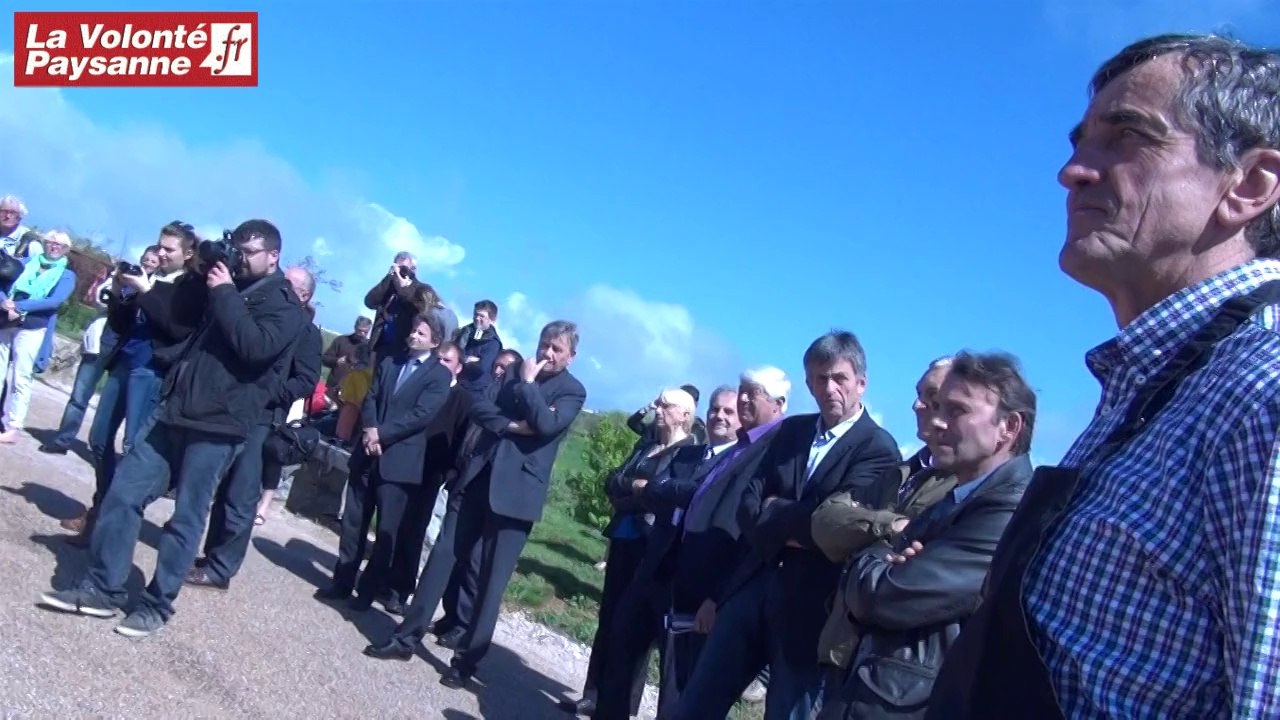 Viaduc de Millau : le Veau d'Aveyron attend les visiteurs