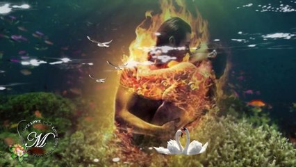 Nilüfer - Dokun Bana