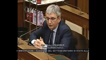 Roma - Audizione sottosegretario Gozi su immigrazione (23.04.14)