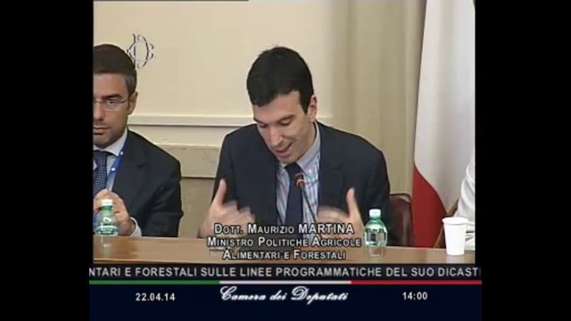 Roma - Seguito audizione ministro Martina (22.04.14)