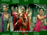 Phulkari _Preet Harpal _Latest Punjabi Video Song 2013 _mG