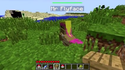 Pokemon Mod  1.7.9, 1.7.5, 1.7.2 and 1.6.4