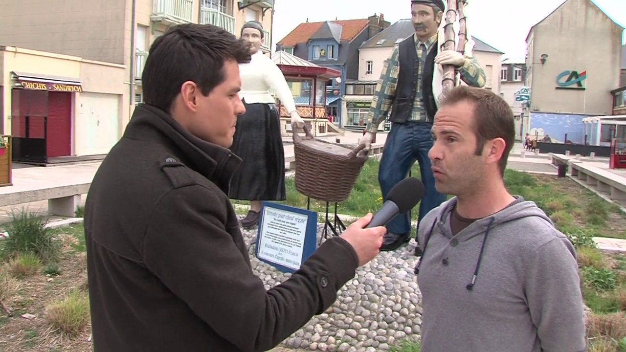 Vue sur Mer 44 - Cayeux-sur-Mer