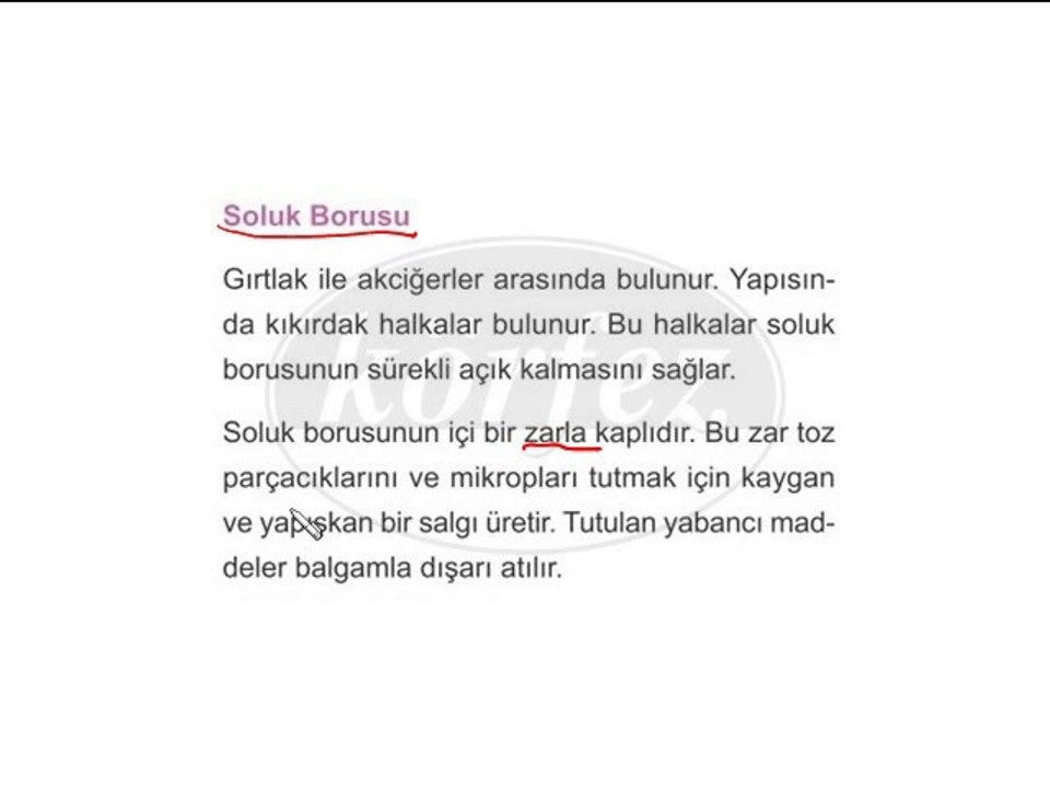 6. Sınıf Solunum Sistemi Video Ders 1