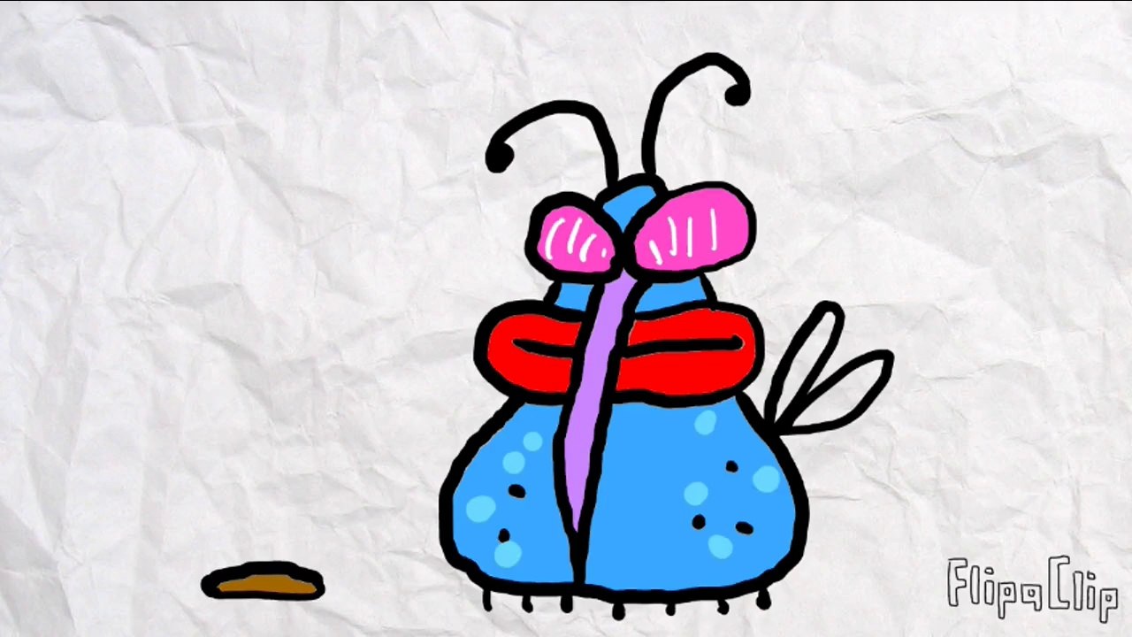 Fly