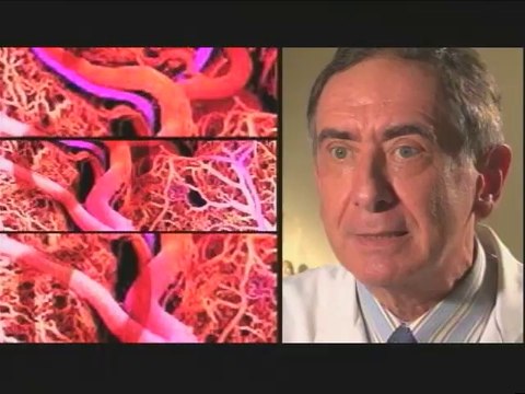 Saber Vivir: ¿De qué trata la diabetes mellitus?