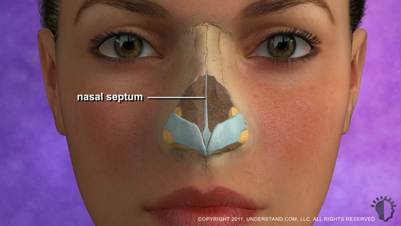 Nose Reshaping (Rhinoplasty) / Burun Estetiği