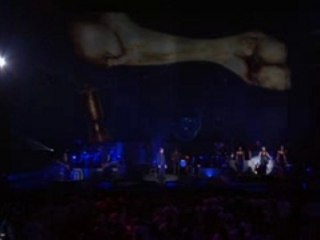 Roger Waters concert  IN THE FLESH