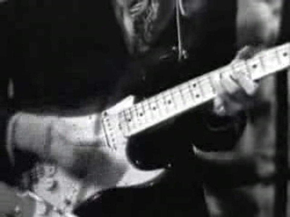 The Bobby Fuller Four - I Fought The Law