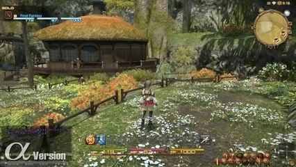 FINAL FANTASY XIV - A Realm Reborn - Gridania (Alpha)