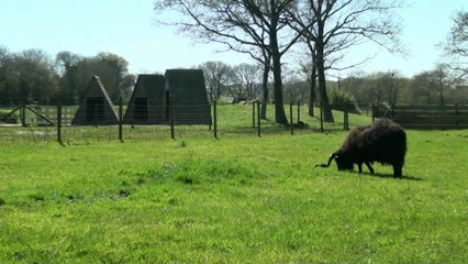 Ferme d'Eden. Le bonheur est dans le pré !