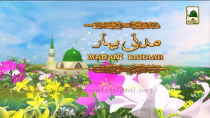 Madani Bahar - Mufti Fuzail Attari