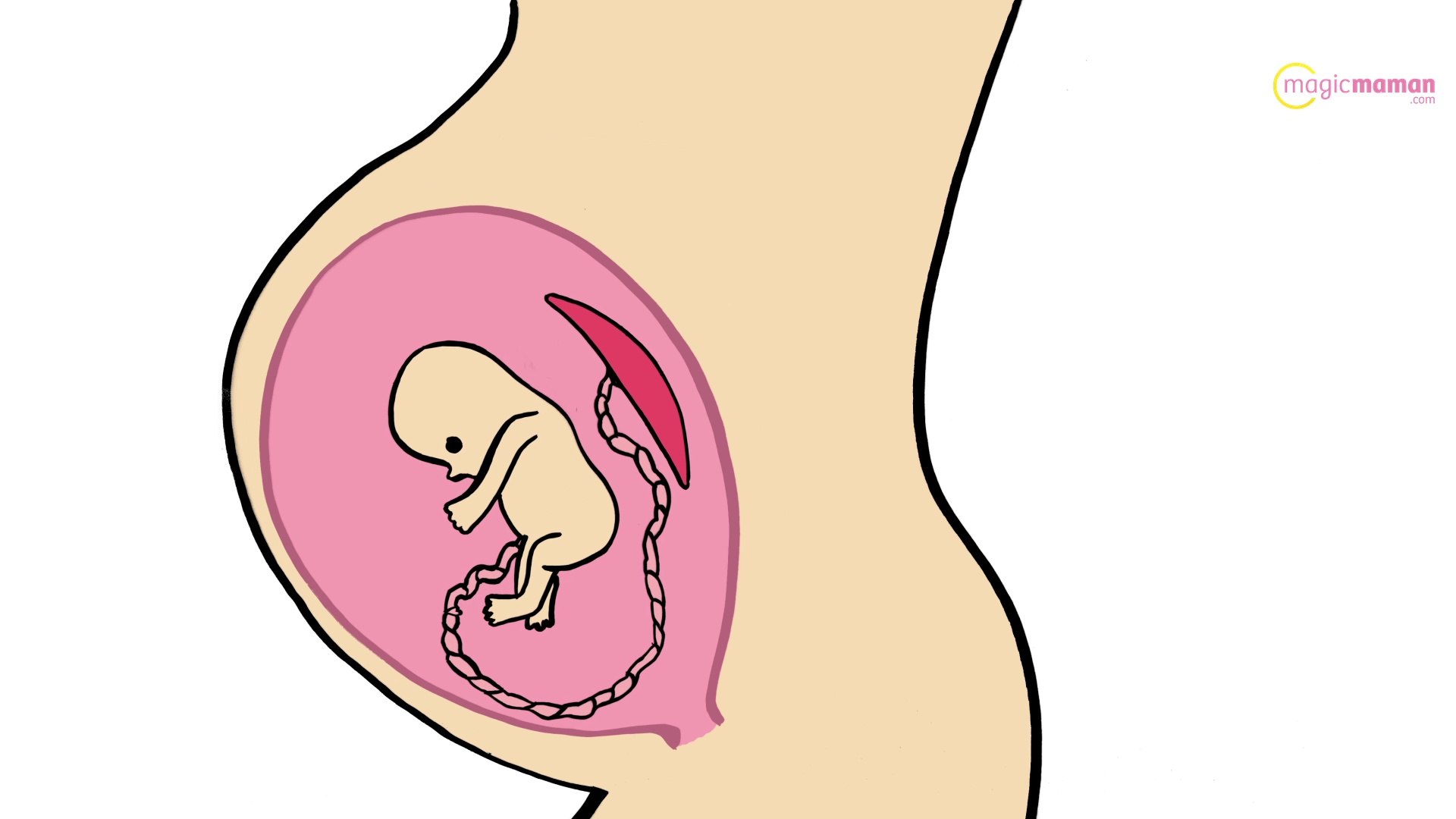 Le placenta, comment ca commence… et comment ca finit ! - Vidéo Dailymotion