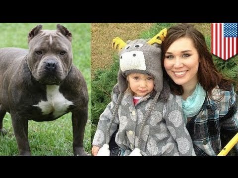 Woman bites off pit bull's ear to save 2-year-old daughter from dog attack