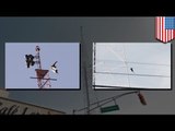 Suicide jump caught on tape: Man jumps off 400-foot tower in New Jersey