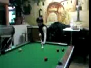 Soirée billard 16