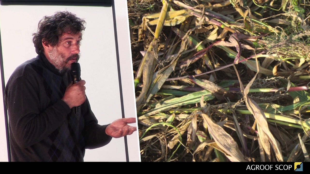 BASEAGROFORESTERIE-welsch