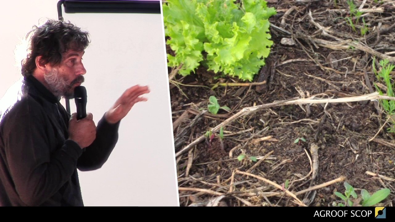 BASE AGROFORESTERIE mars 2014 - L.Welsch partie 2