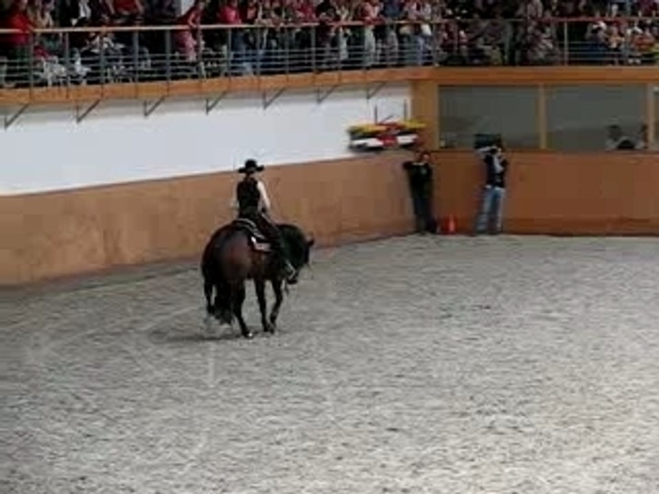 western riding