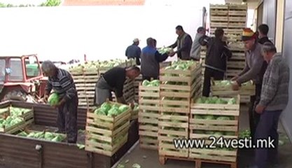 NEMA OTKUP NA ZELKA VO STRUMICA  24 04 2014