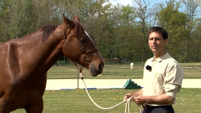 Cheval Pratique - J'éduque mon cheval : Espace personnel et contrôle
