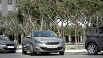 Park Assist Peugeot 308 SW II ( www.feline.cc )