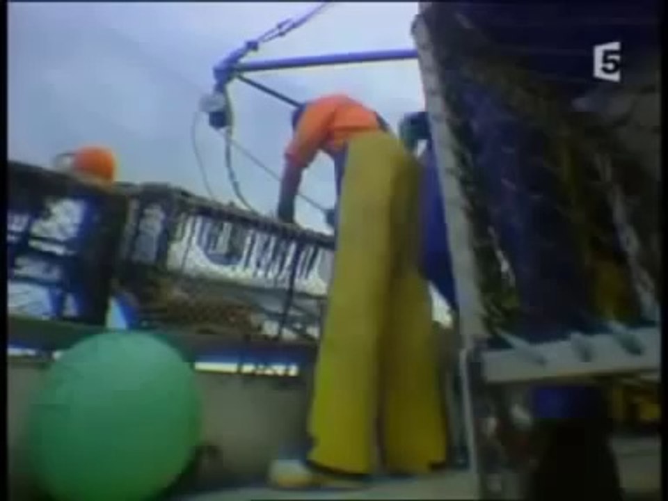 Les Mystères de la pieuvre documentaire entier en français new 2013 hd