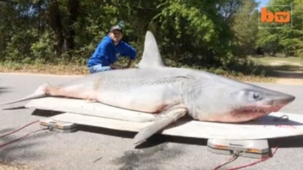 Fisherman Catch World Record Shark, Eat It, Lose World Record