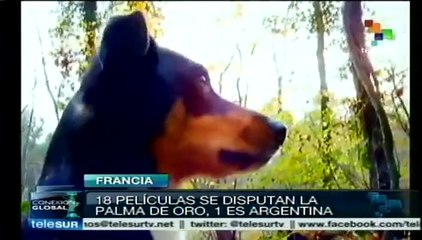 Latinoamérica estará representada en Cannes por el cine argentino