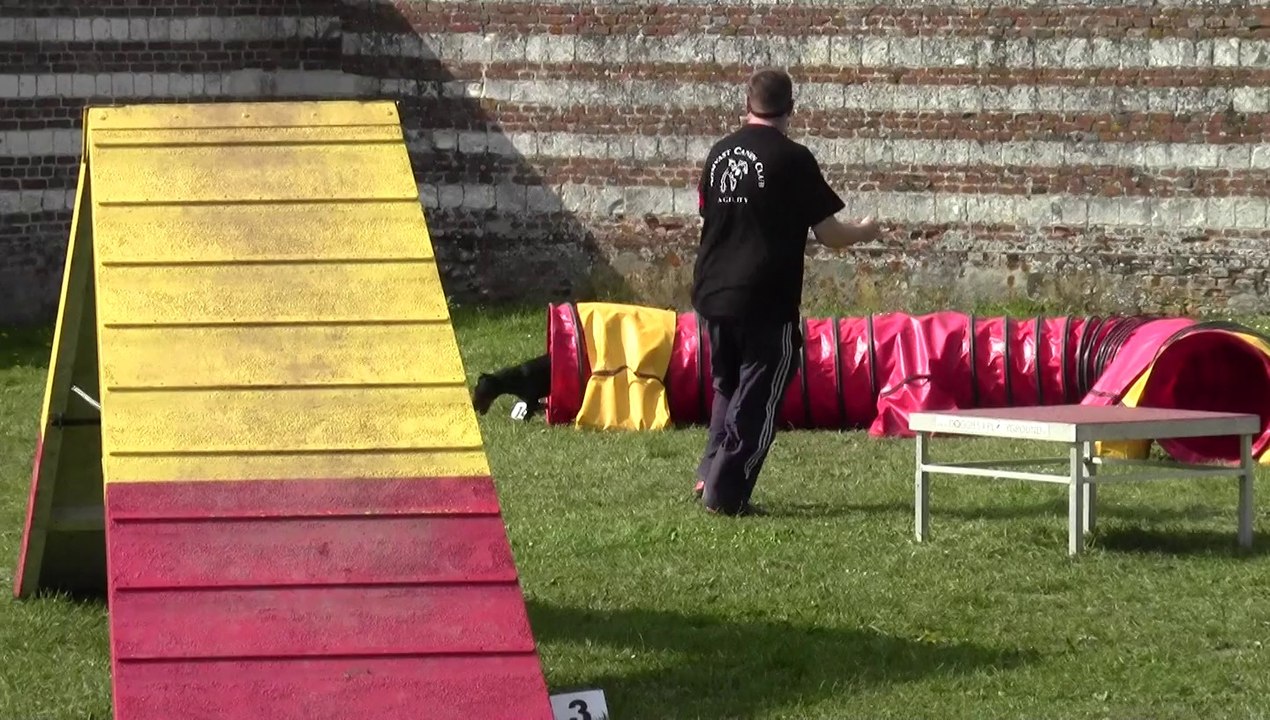 HELLBOY AGILITY, GAGNE LE SELECTIF GRAND PRIX DE FRANCE 2014 (A DOMVAST)