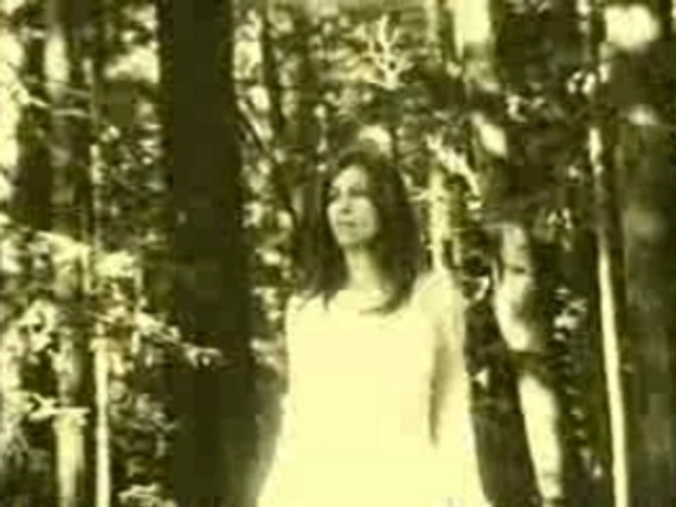 QOTSA - Someone's In The Wolf (clip)