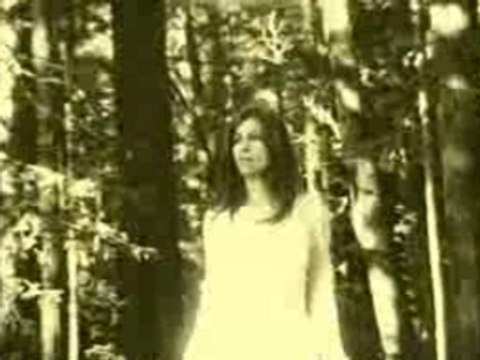 QOTSA - Someone's In The Wolf (clip)