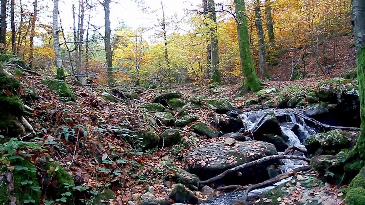 Motocross de Lacaune-Les-Bains - Hugo Roussaly