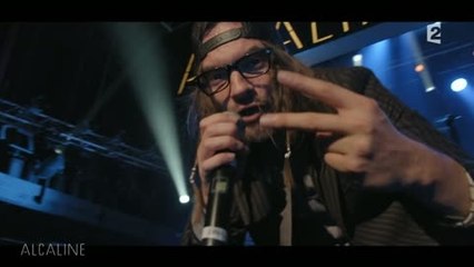 Alcaline, le concert "Wanna get free" de Shaka Ponk
