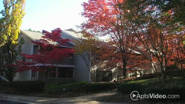 The Pointe Apartments in Stone Mountain, GA - ForRent.com