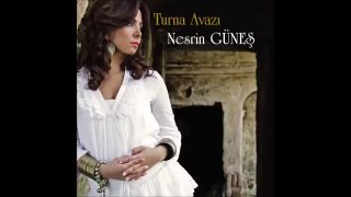 Nesrin Güneş 2014 / Turnam Avaz ile Döner @ Mehmet Ali Arslan Müzik