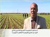 الحكومة المغربية تشجع الفلاحين للتوجه إلى الزراعة العضوية