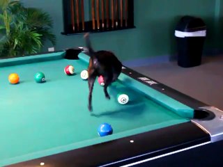 Henüz Bilardo Öğrenemediyseniz Ustası Burada :)