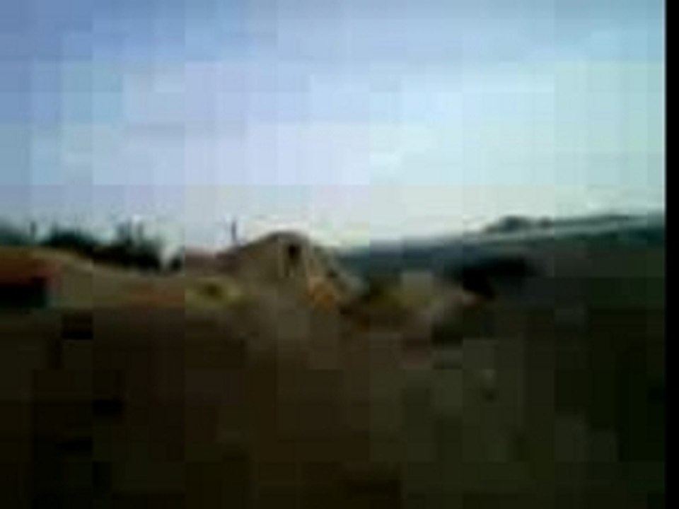 vrinx1