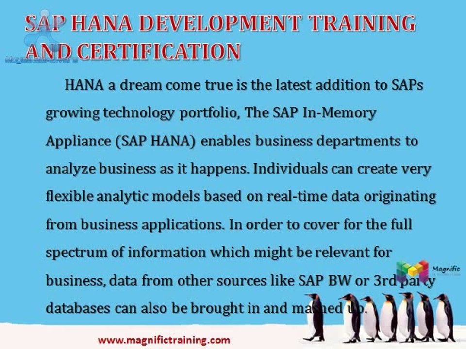 HANA DEV(DELOPMENT) online training and placement support in southafrica